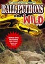 ball Python DVD