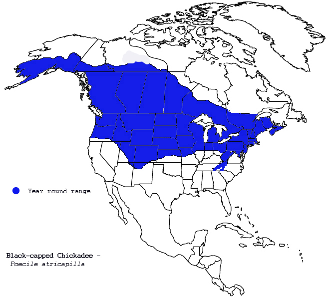 Areas of North America that the Black-capped Chickadee - Poecile atricapilla inhabits