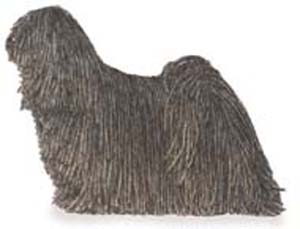 The Puli is typically a lively, acrobatic dog; light, quick, agile and able to change directions ins